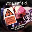 ANOTHER BORING EASTFIELD ALBUM: A RAIL PUNK COLLECTION